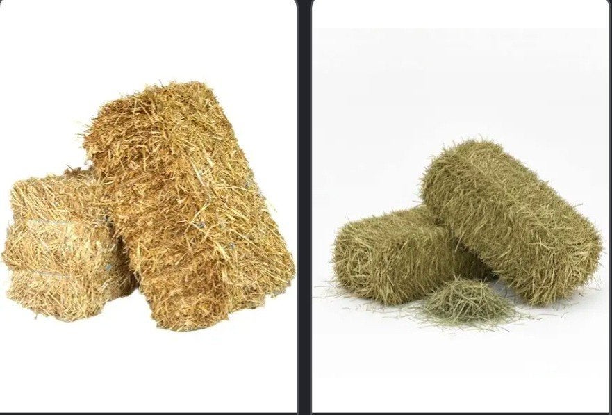 Grote en kleine Botten hooi te koop!!!!, Zakelijke goederen, Ophalen of Verzenden
