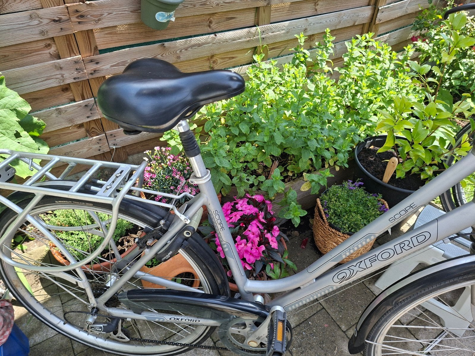 Dames fiets, Ophalen of Verzenden