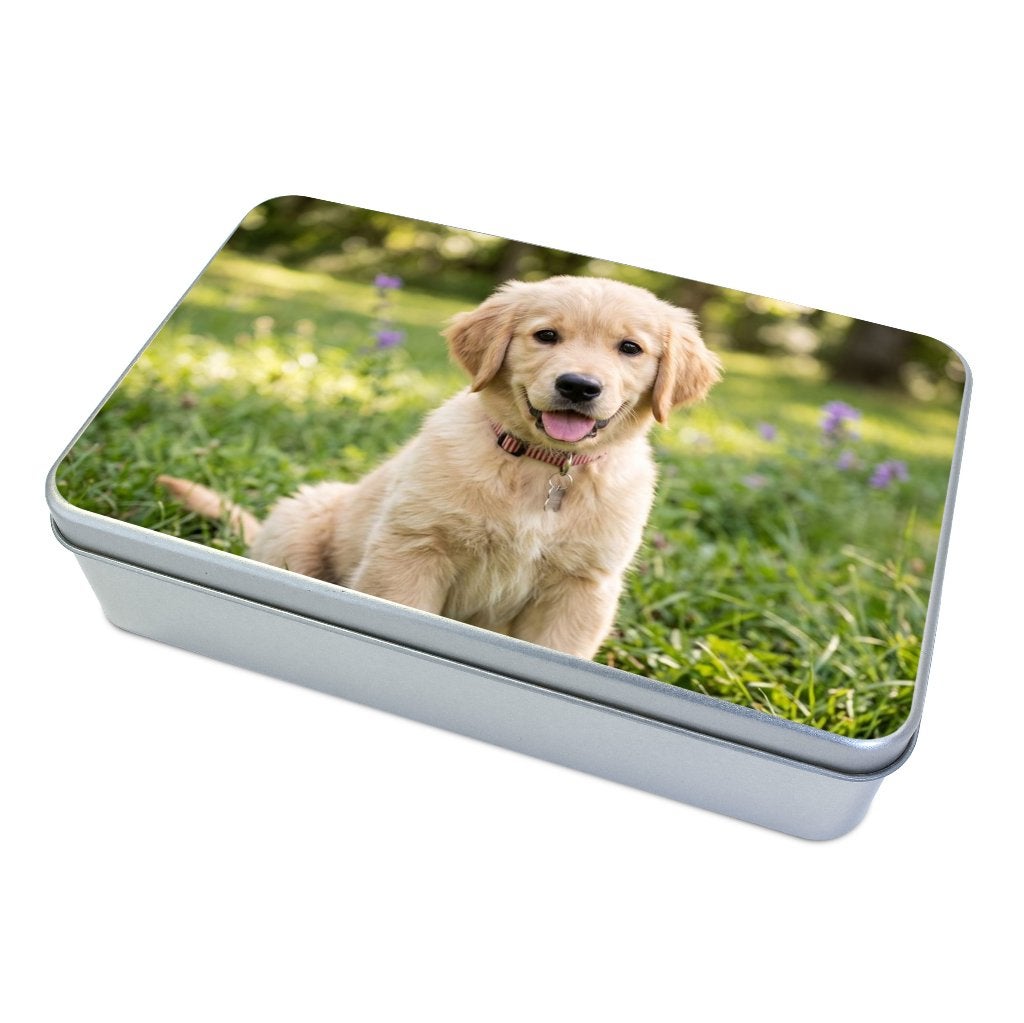 Dierendag cadeautje voor hondenbaasje, Livres, Animaux & Animaux domestiques, Envoi, Neuf, Chiens