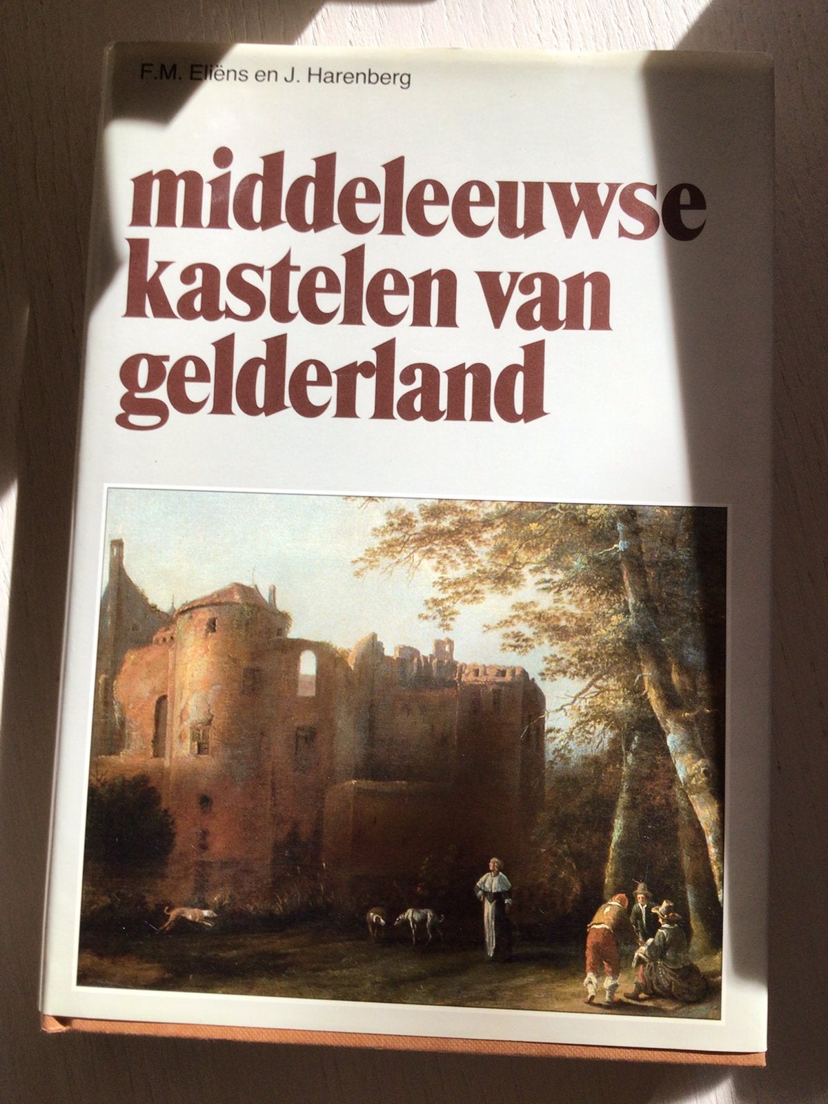 Middeleeuwse kastelen van Gelderland, Antiquités & Art, Enlèvement ou Envoi
