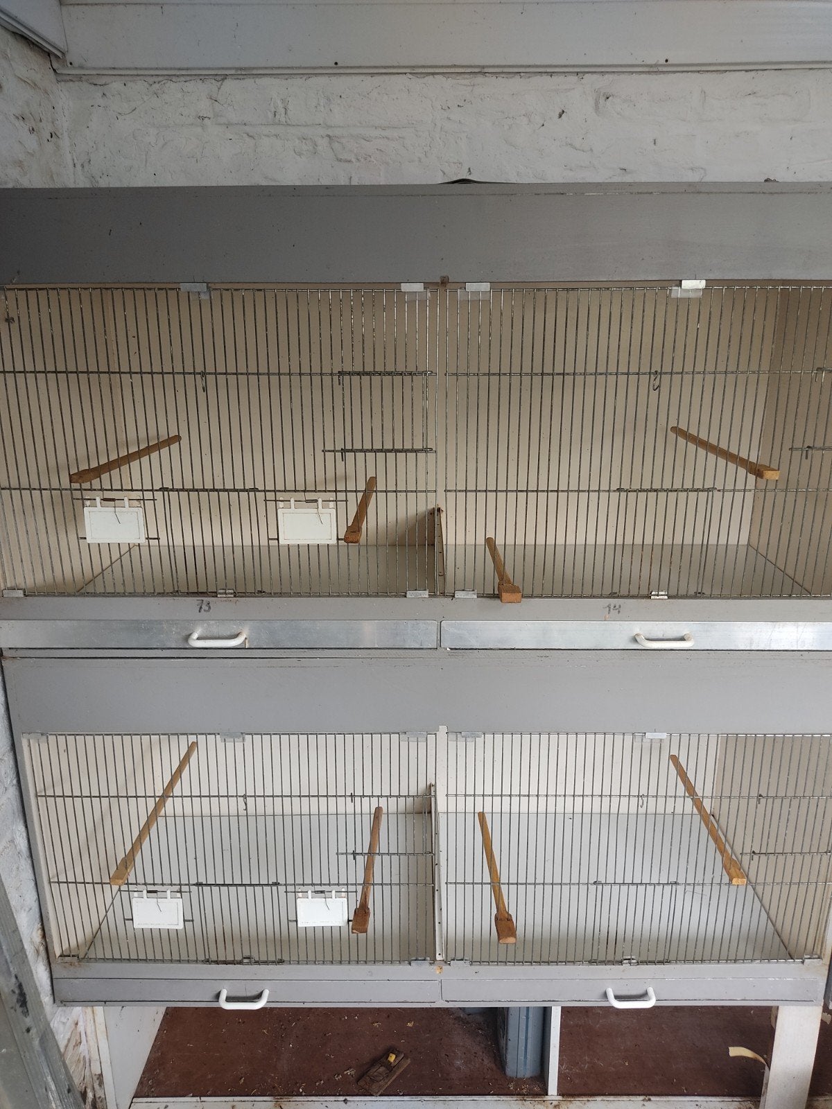 kweekkooien 1m20 x60cmx50, Dieren en Toebehoren, Ophalen, Hout