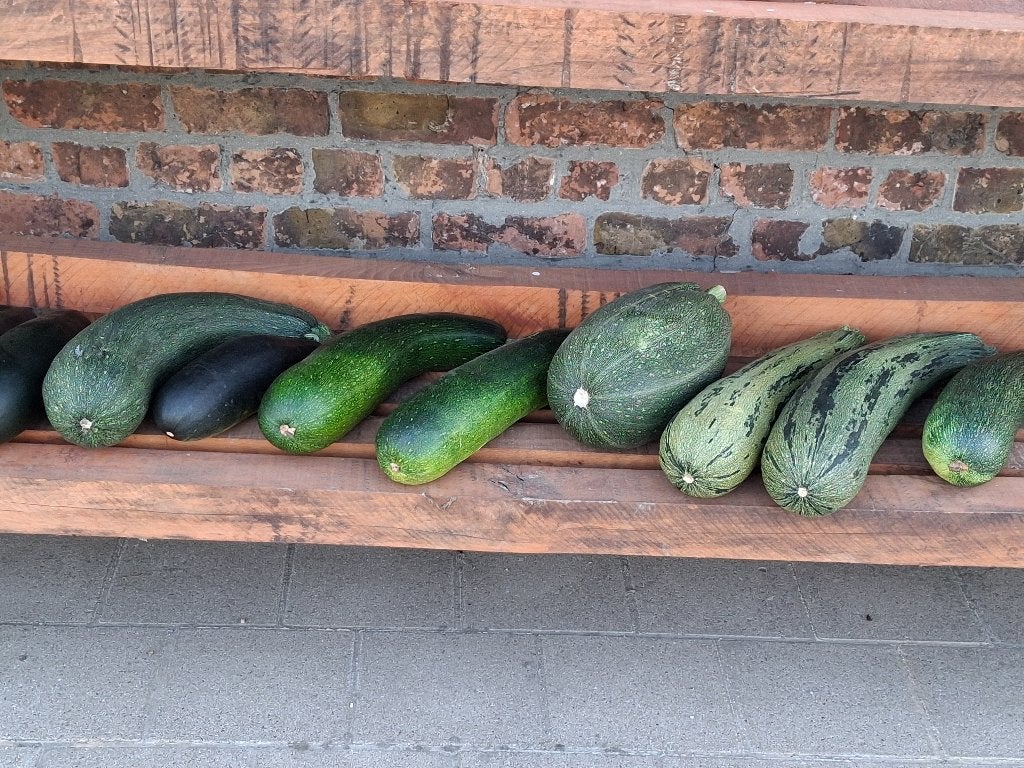 Laatste courgettes, Diversen, Ophalen
