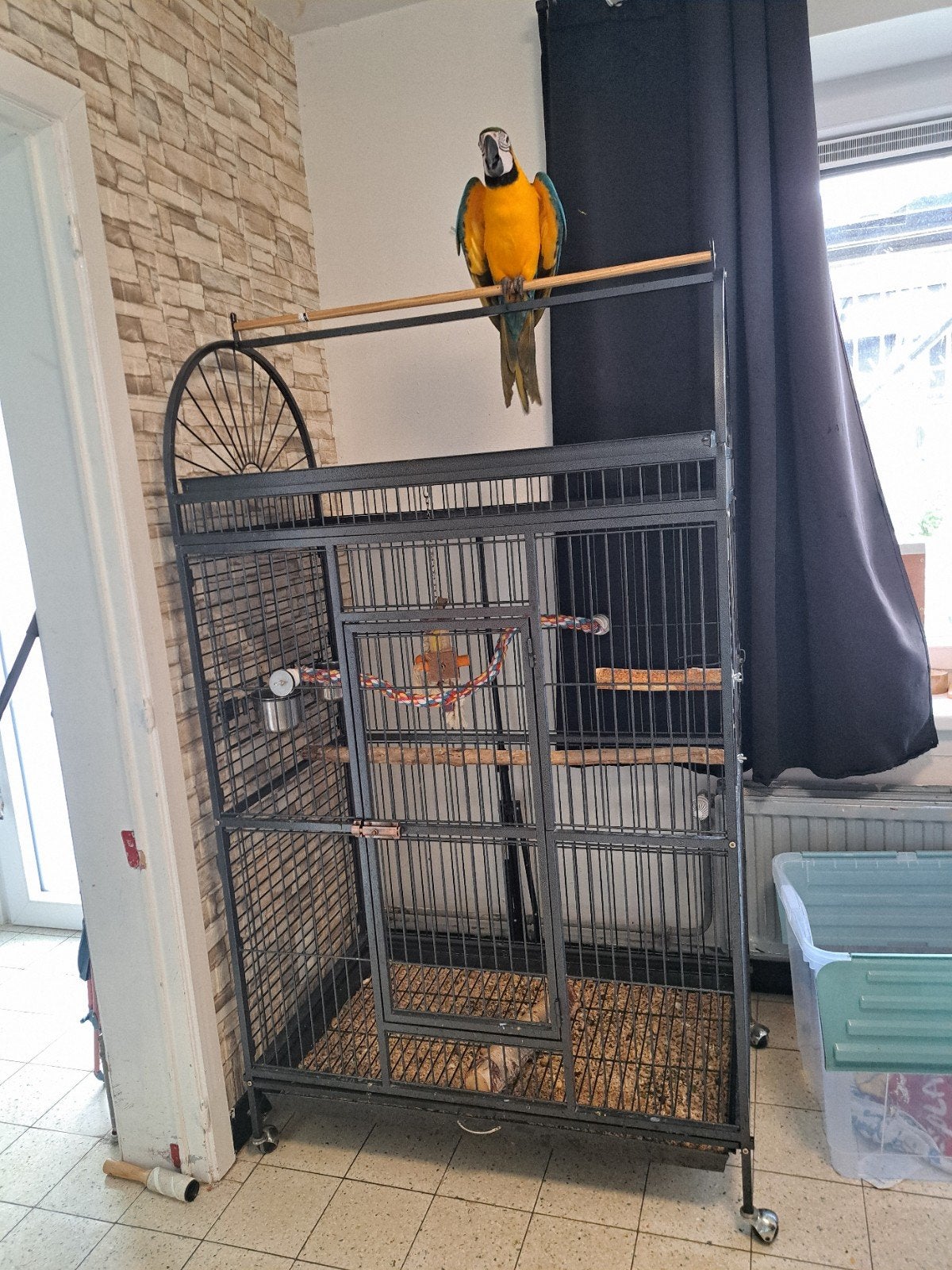 grande cage pour perroquet