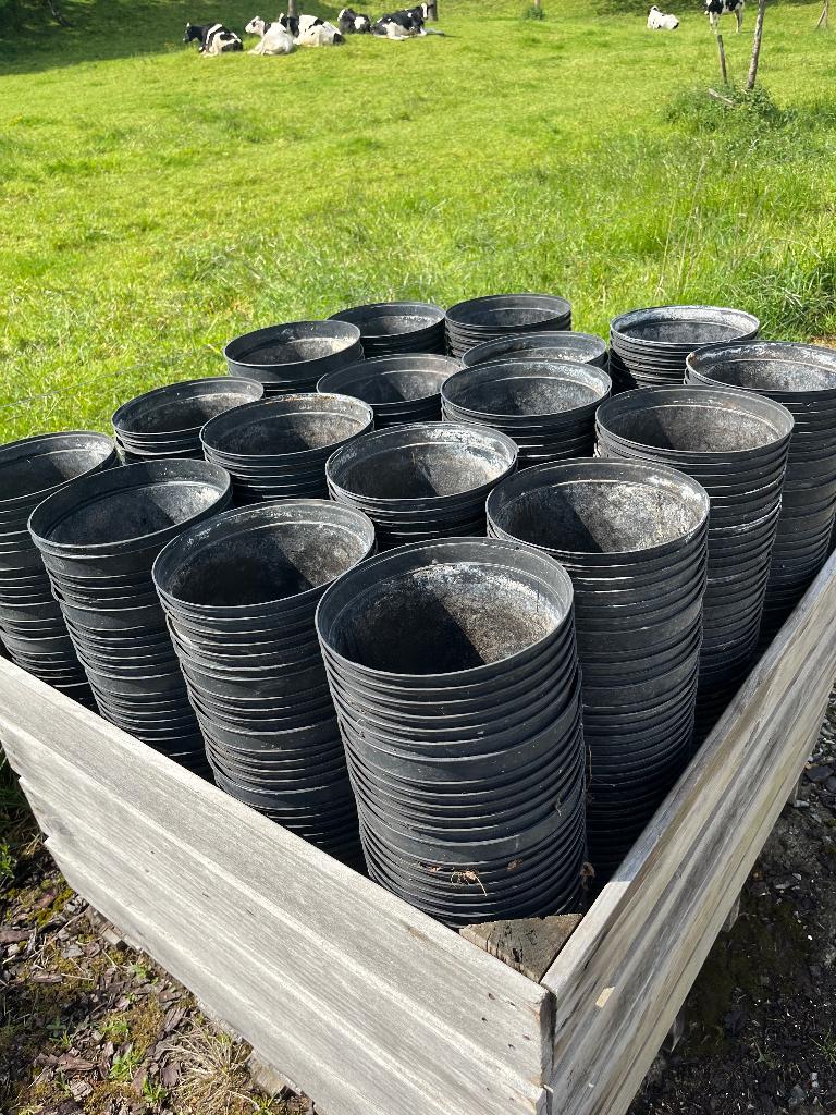 1500 pots ronds 7,5 L, Enlèvement