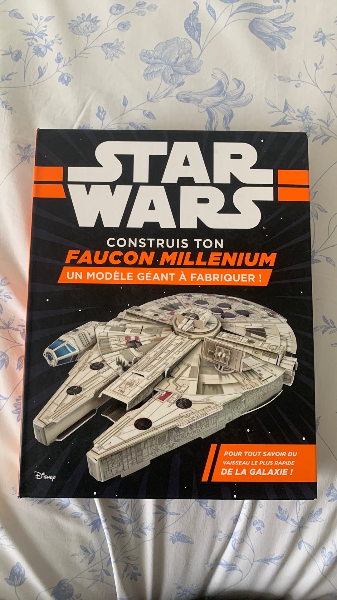 Construis ton Faucon Millenium, Collections, Star Wars, Neuf, Livre, Poster ou Affiche, Enlèvement
