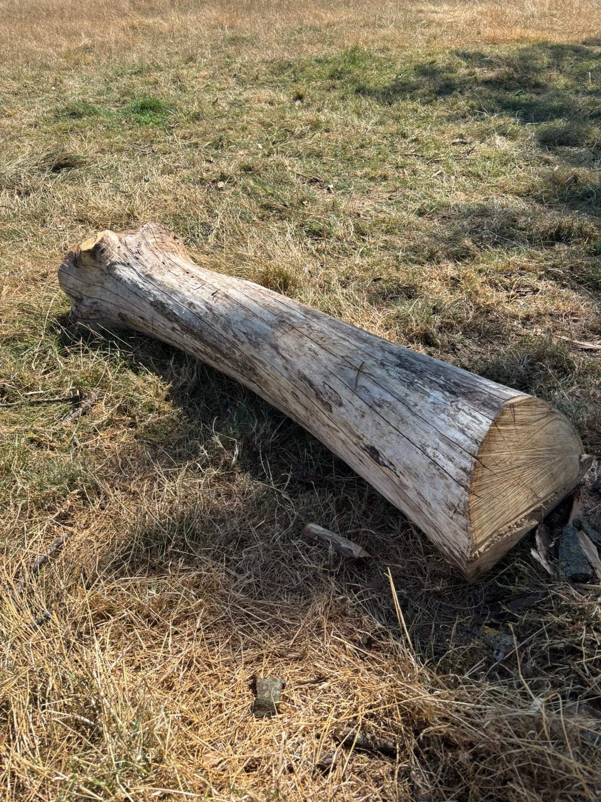 Stam kastanje, Doe-het-zelf en Bouw, Ophalen
