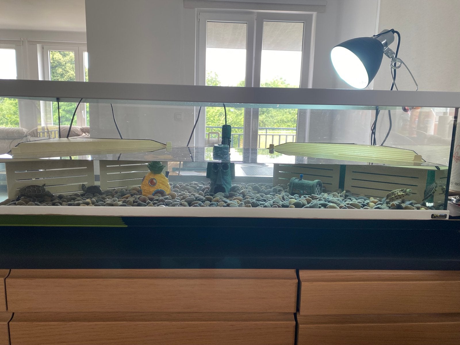 Schildpadden aquaterrarium, Enlèvement, Comme neuf