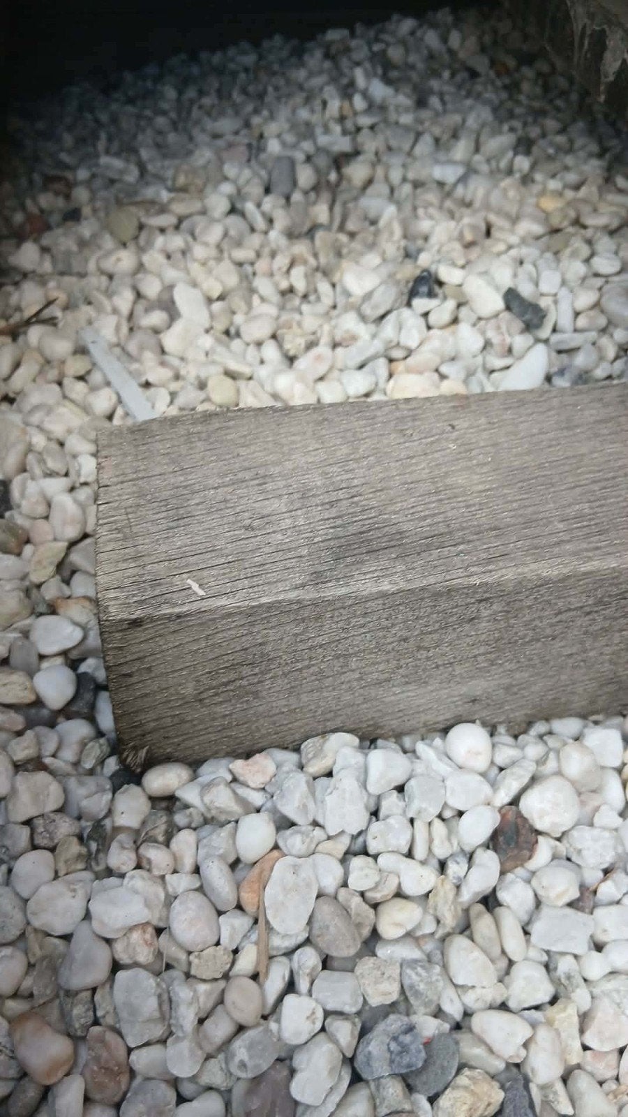 Witte kiezels, Tuin en Terras, Ophalen
