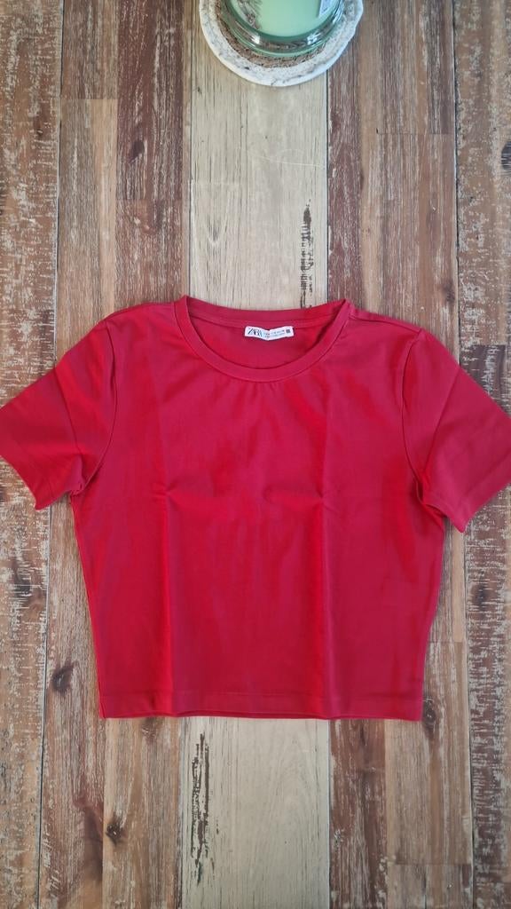 T-shirt court Zara S neuf, Zara, Ophalen of Verzenden, Zo goed als nieuw, Korte mouw