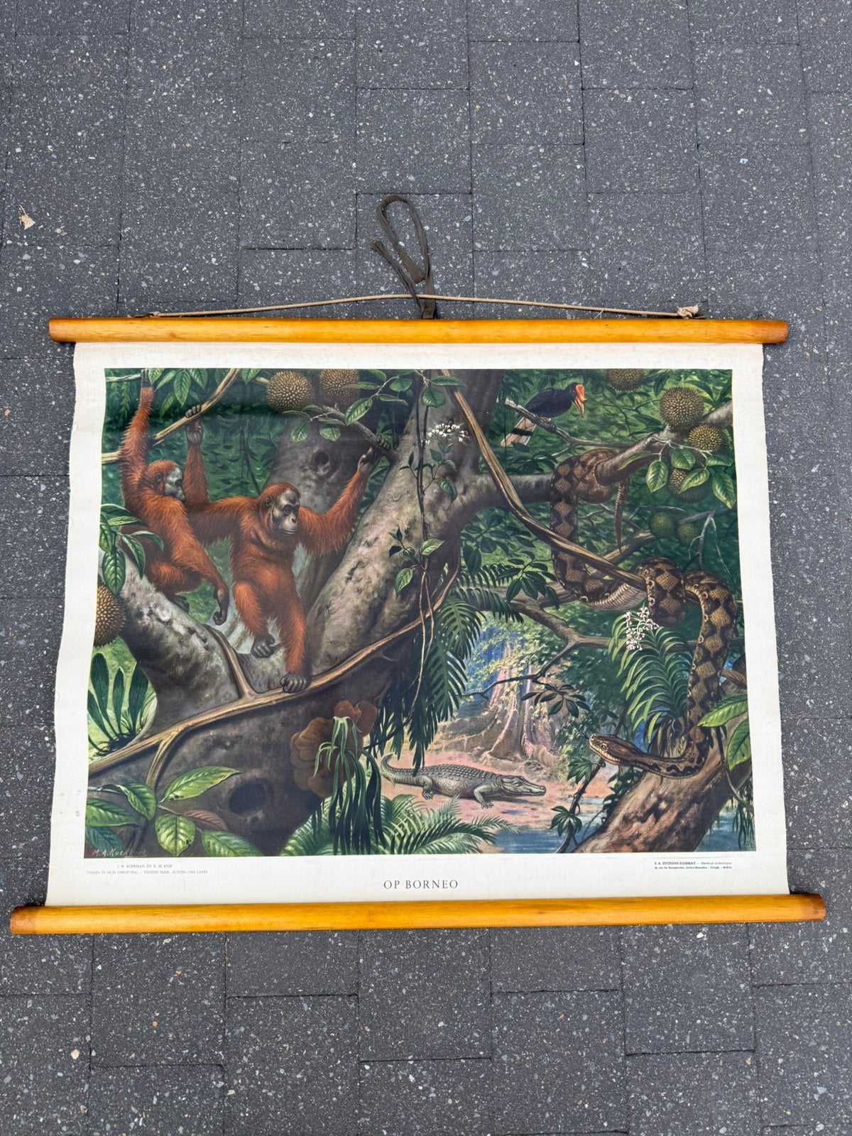 Vintage schoolprent op linnen Op Borneo Dossray, Ophalen of Verzenden