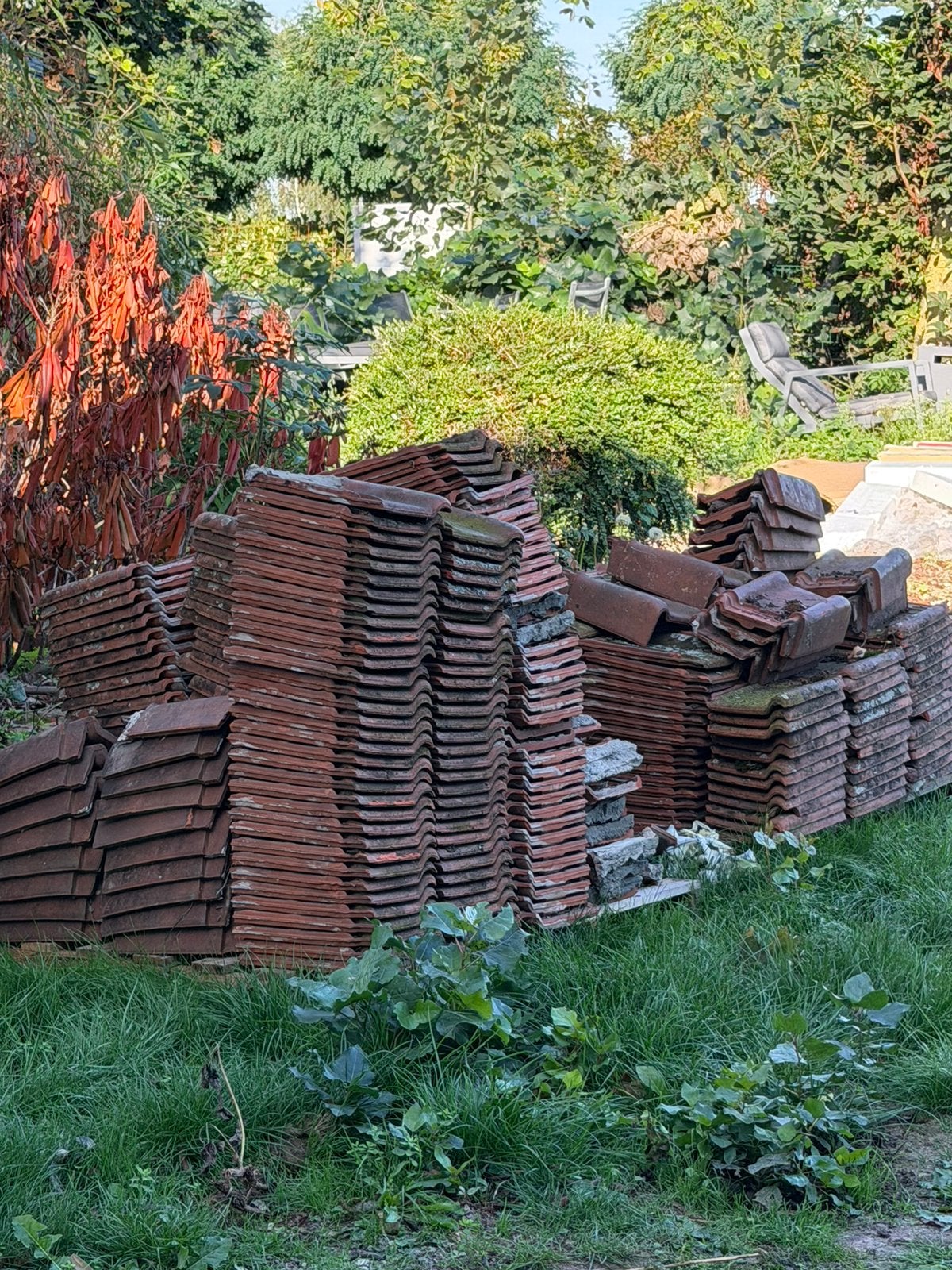 Dakpannen gratis, Doe-het-zelf en Bouw, Ophalen, Gebruikt, Steen of Klei, Dakpannen