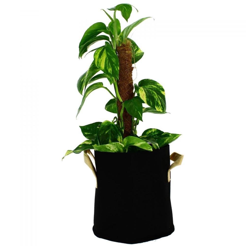 Pots en tissus géotextile Greencube - 11, 15 et 30 Litres, Neuf, Enlèvement ou Envoi, Rond, Synthétique