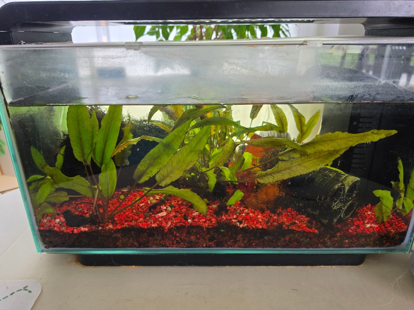 Aquarium Superfish home25 + benodigdheden, Dieren en Toebehoren, Ophalen, Gebruikt, Gevuld zoetwateraquarium, Inclusief vissen