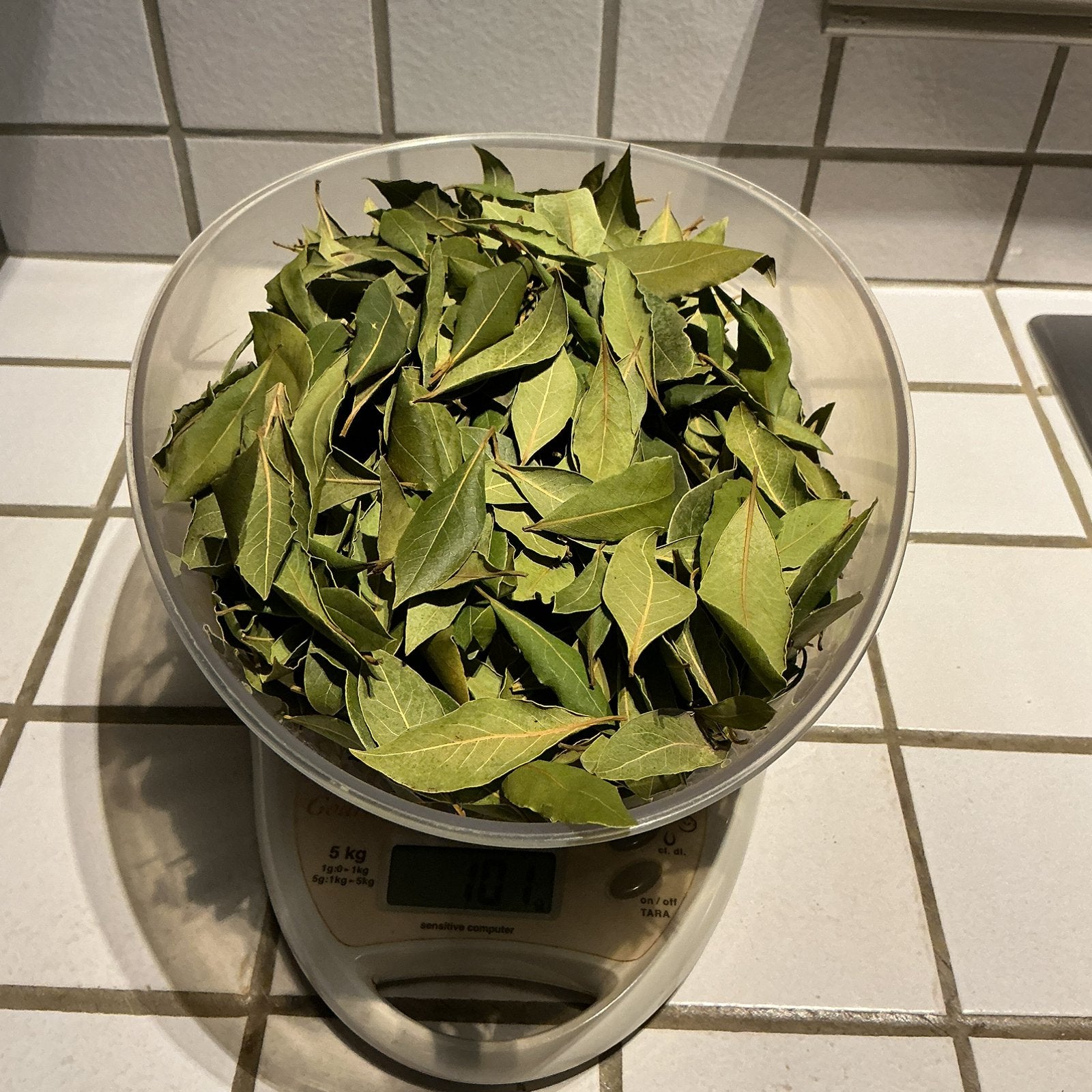 Feuilles de laurier de cuisine biologiques, Enlèvement ou Envoi