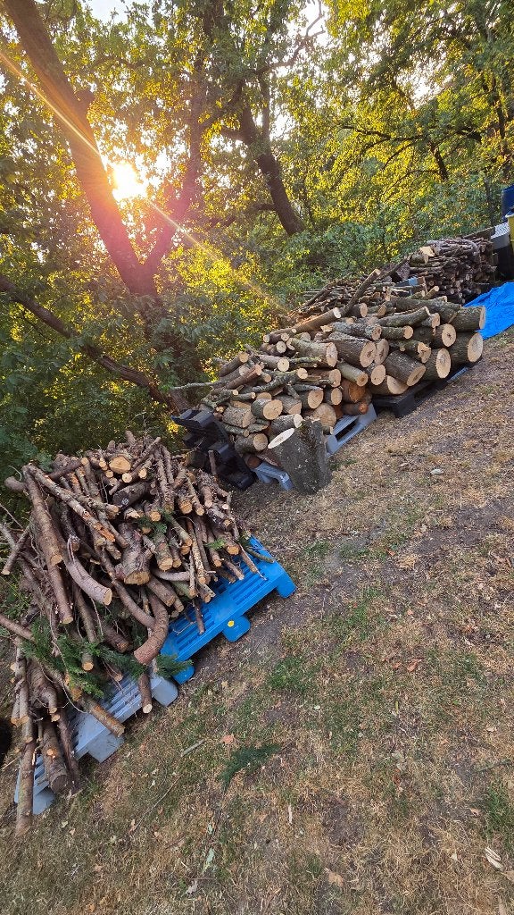 Bois de chauffage, Jardin & Terrasse, 3 à 6 m³, Enlèvement, Autres essences de bois, Troncs d'arbres