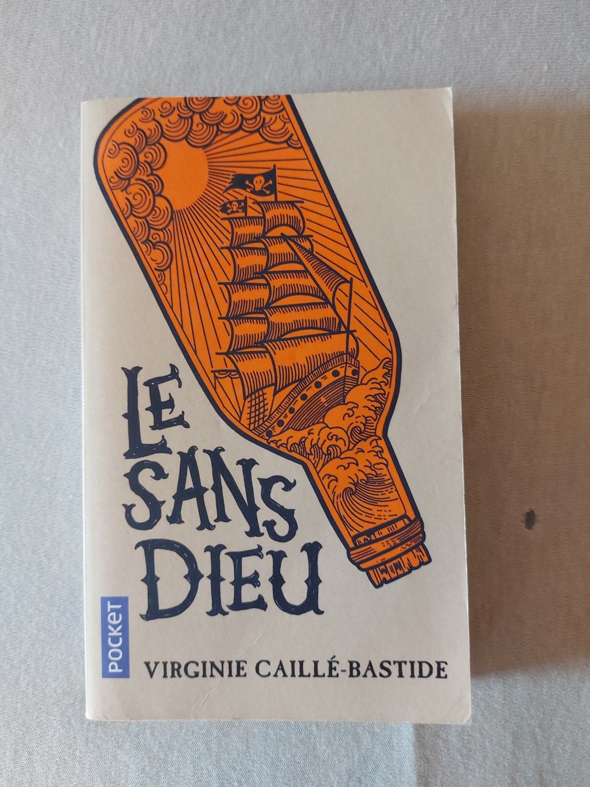 Le sans dieu de Virginie Caillé-Bastide, Ophalen, Gelezen