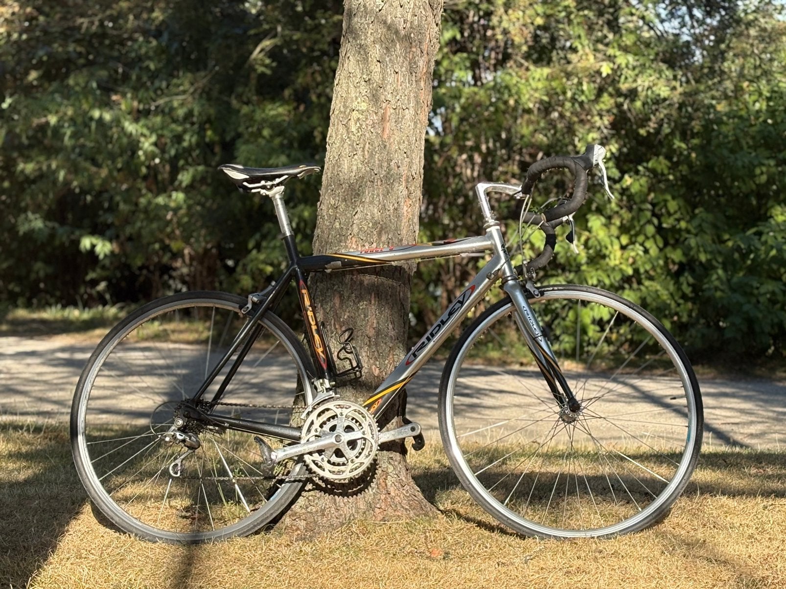 Ridley Force 9 — vélo de course, cadre aluminium, Autres marques, Vitesses, Frein sur jante, 57 à 61 cm
