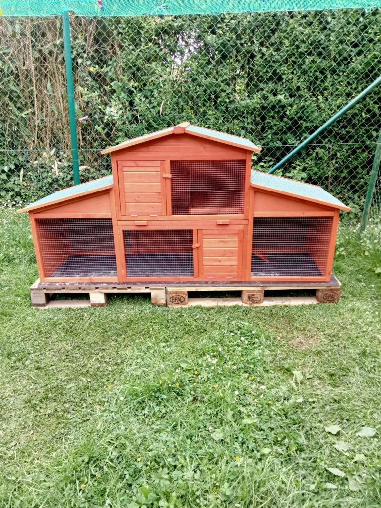 poulailler neuf, Dieren en Toebehoren, Pluimvee | Toebehoren, Zo goed als nieuw, Kippenhok of Kippenren, Ophalen