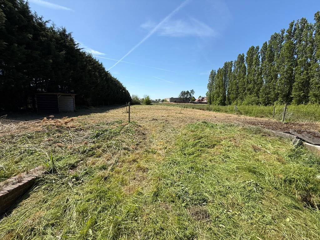 Weide te huur aan de lombaardstraat te Sint-Kat-Waver