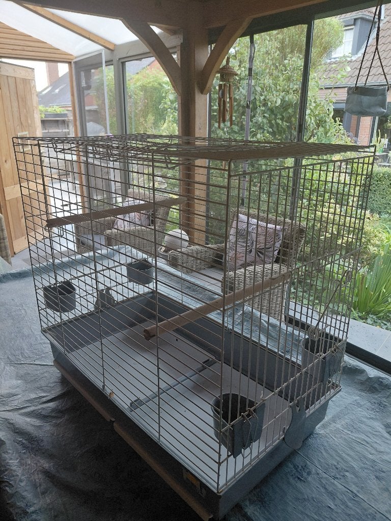ruime vogelkooi, Ophalen, Gebruikt, Kunststof, Vogelkooi