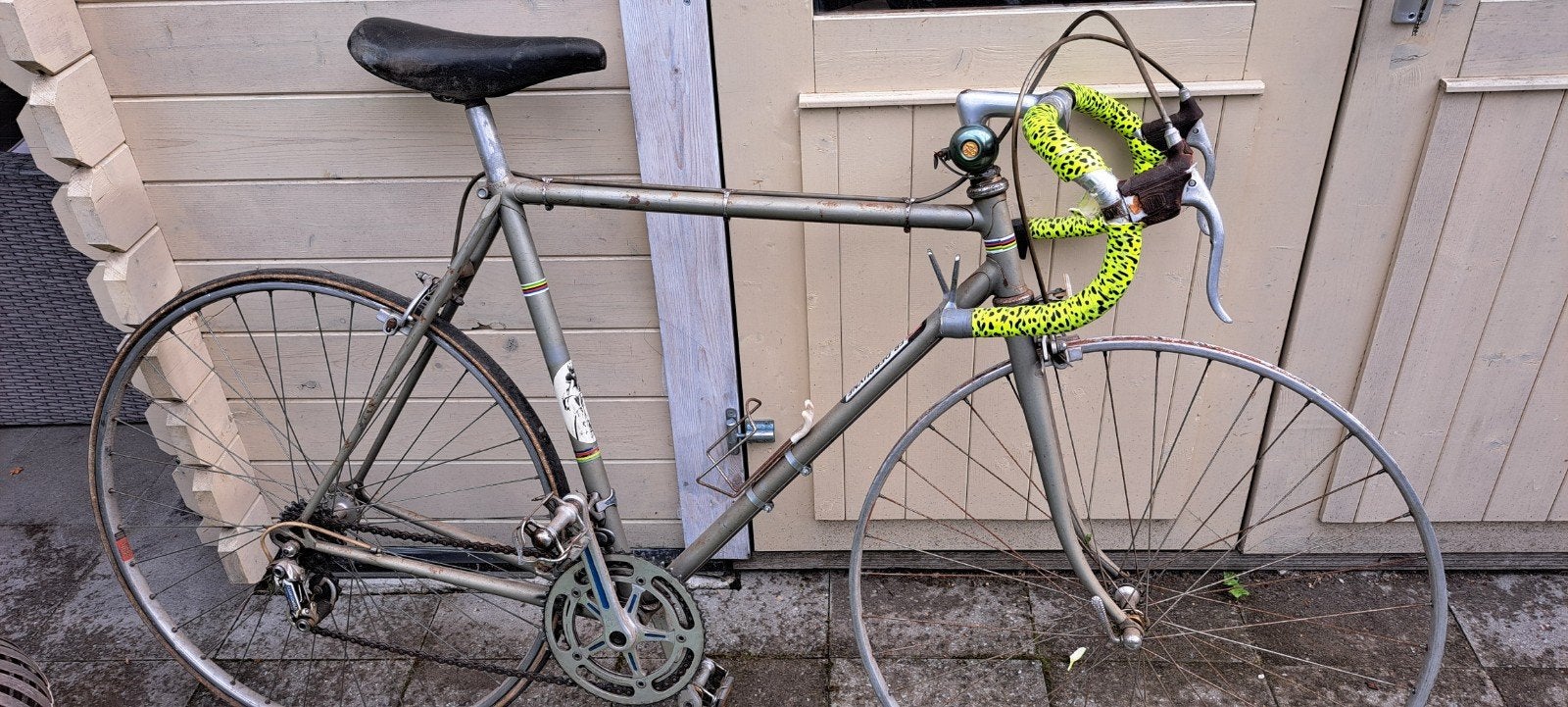 Oldtimer koersfiets( Eric de Vlaeminck), Fietsen en Brommers, Fietsen | Oldtimers, Ophalen