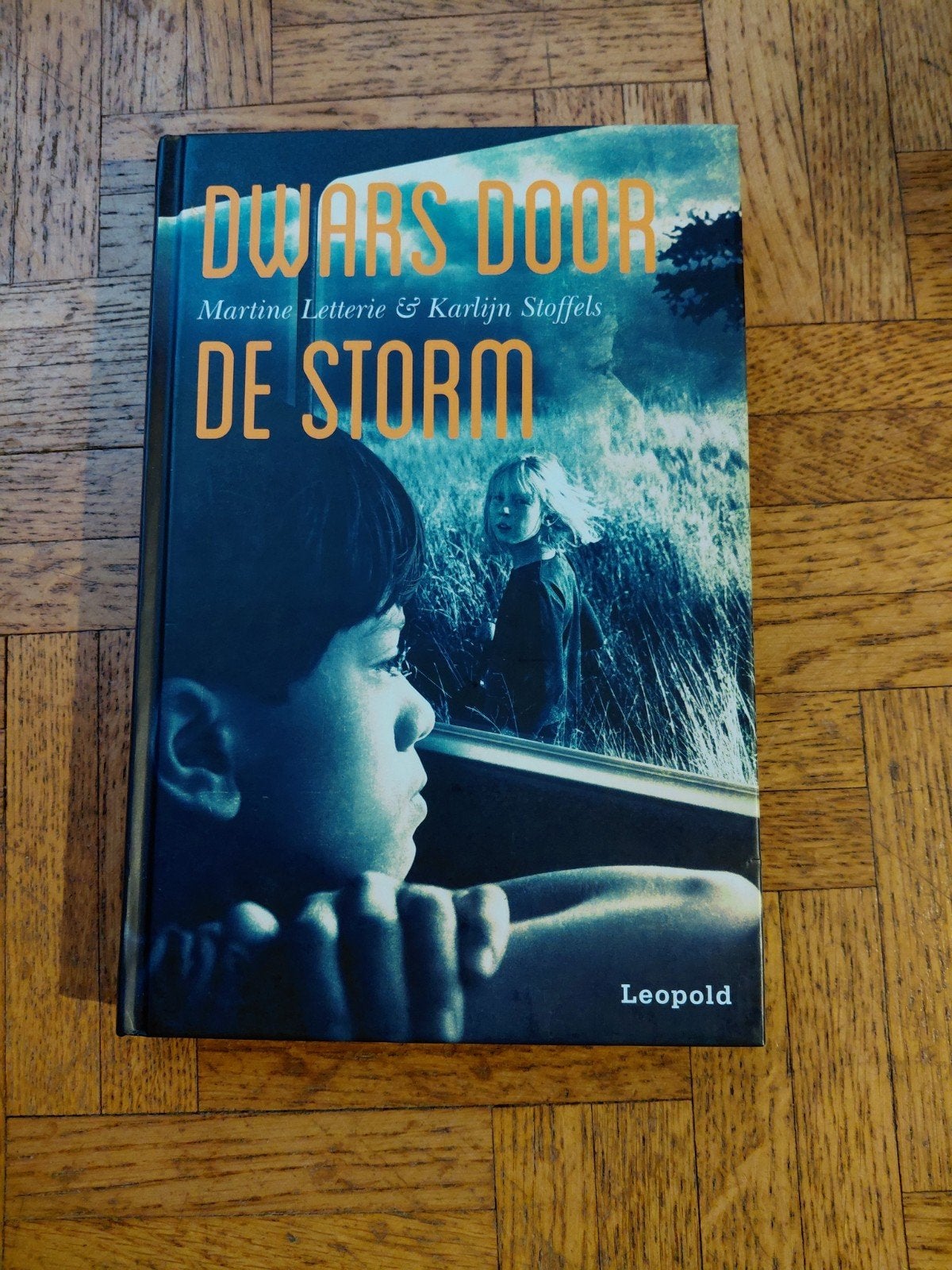 Martine Letterie: Dwars door de storm, Enlèvement ou Envoi, Utilisé