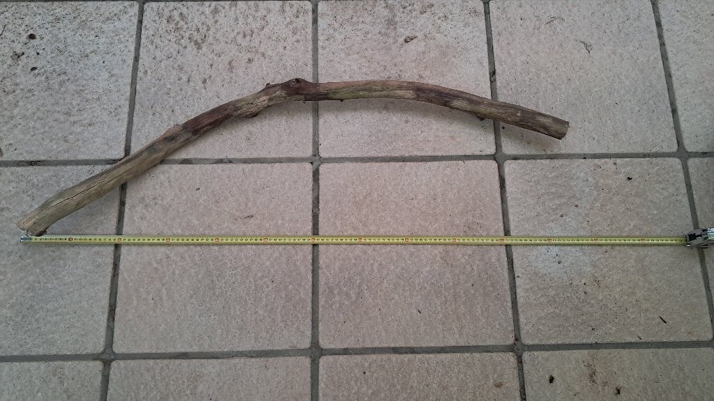 XXL Eikentak 120cm– Premium Hout voor Aquarium & Terrarium, Ophalen, Nieuw, Tak, Plant, Rots of Steen