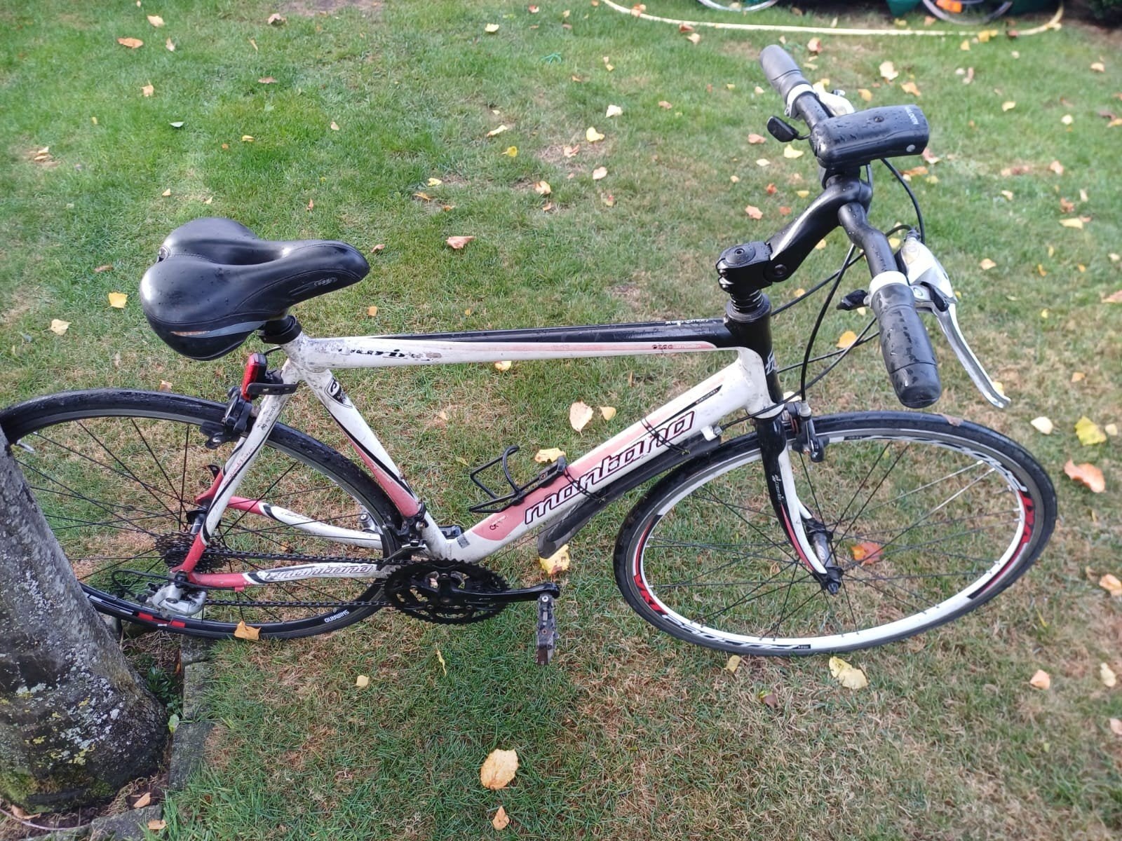 Vélo pour homme à vendre. Marque Montana. Prix 65€, Enlèvement