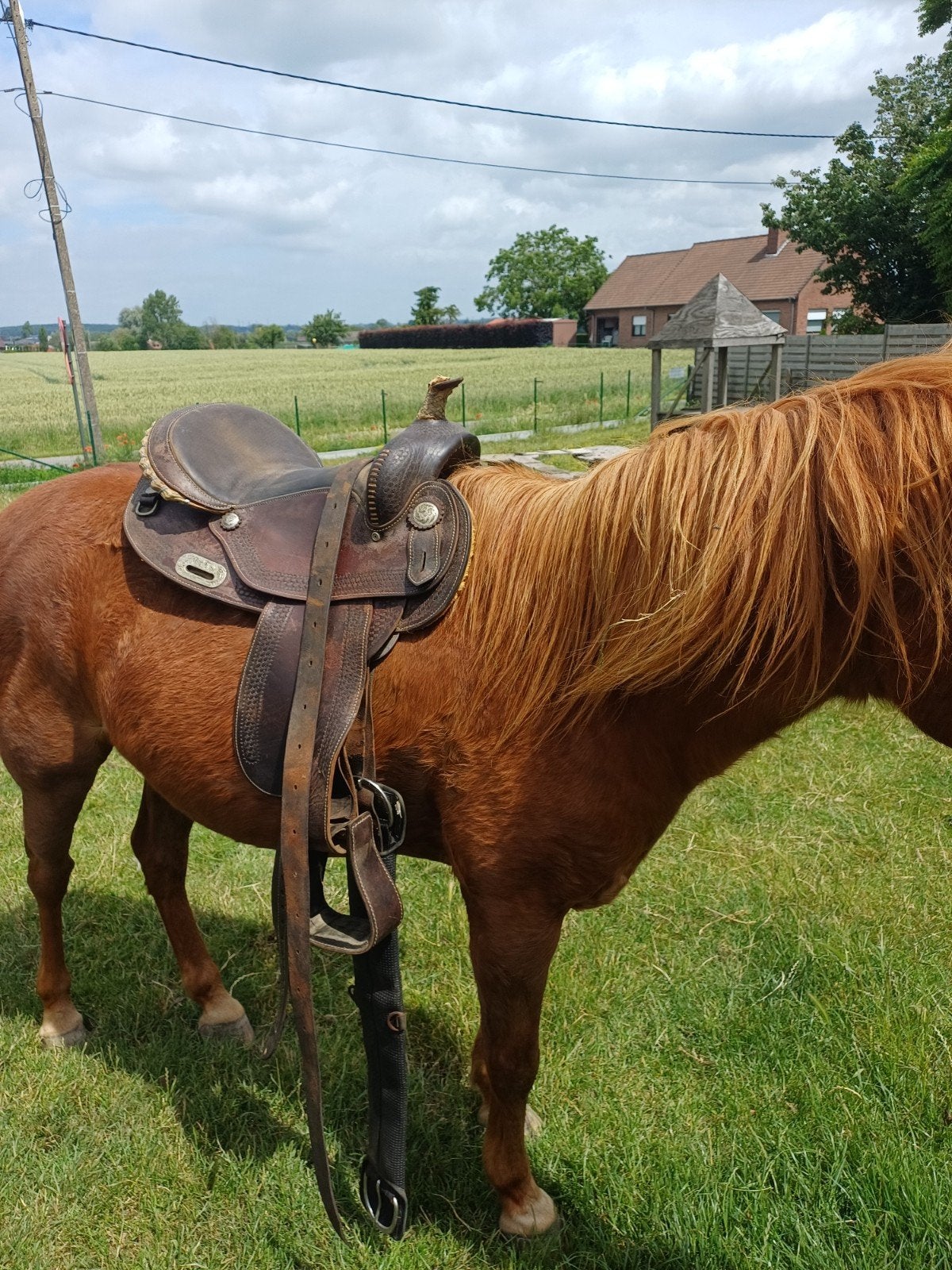 Westernzadel 17 inch, Dieren en Toebehoren, Ophalen of Verzenden, Western