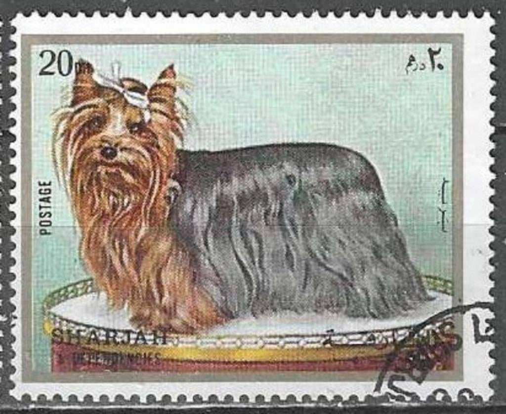 Sharjah 1972 - Stampworld 1374 - Races de chiens - 20 D (ST), Envoi, Affranchi