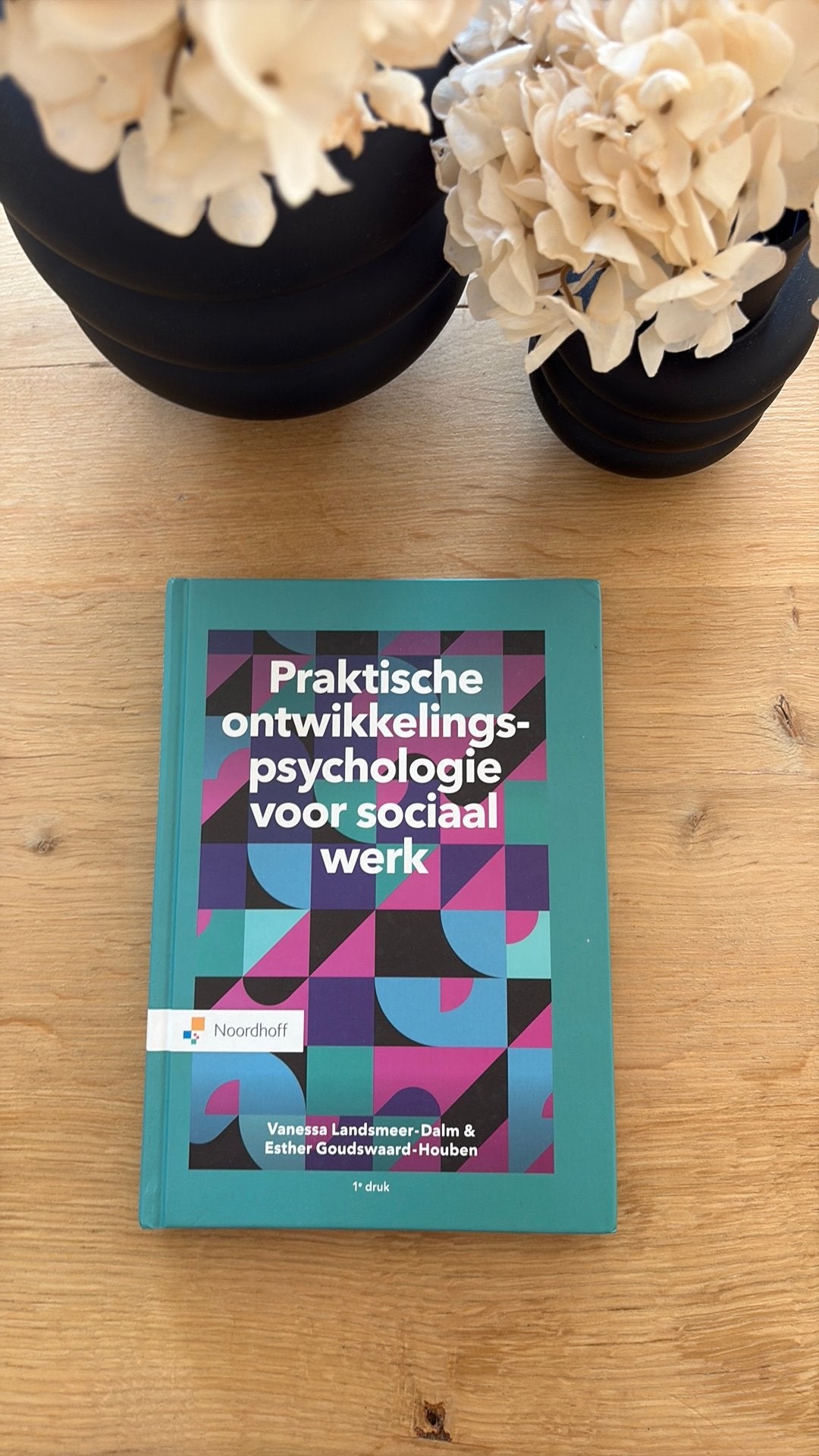 Psychologie du développement pratique pour le travail social, Livres, Envoi, Psychologie du développement, Vanessa Landsmeer-Dalm; Esther Goudswaard-Houben