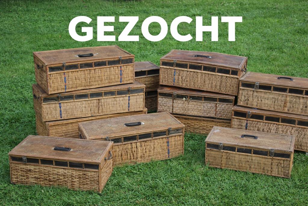 Oude duivenmanden gezocht – alle types welkom, Dieren en Toebehoren