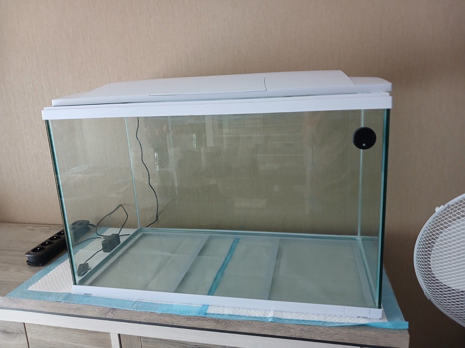 aquarium, Animaux & Accessoires, Poissons | Poissons d'aquarium