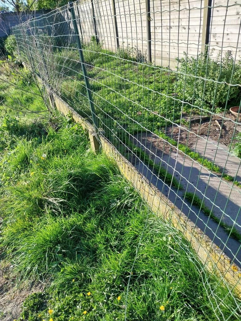Draad betonplaten , palen , poortje, Ophalen, Draad