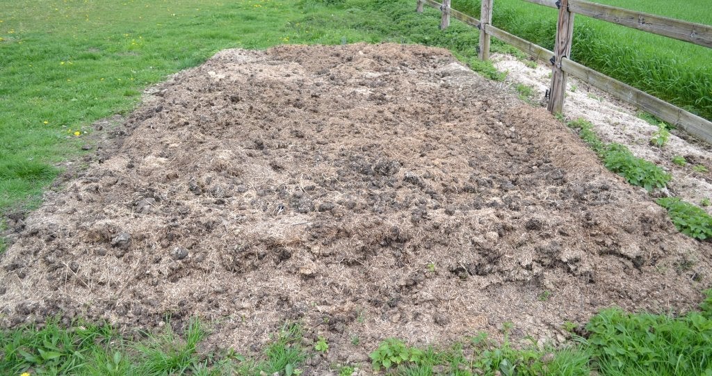 Paardenmest gratis te Schriek. Super kwaliteit !, Tuin en Terras, Aarde en Mest, Ophalen, Mest