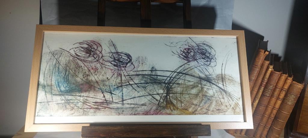 Gesigneerde kleuren ets 52x25cm, Antiek en Kunst, Ophalen of Verzenden