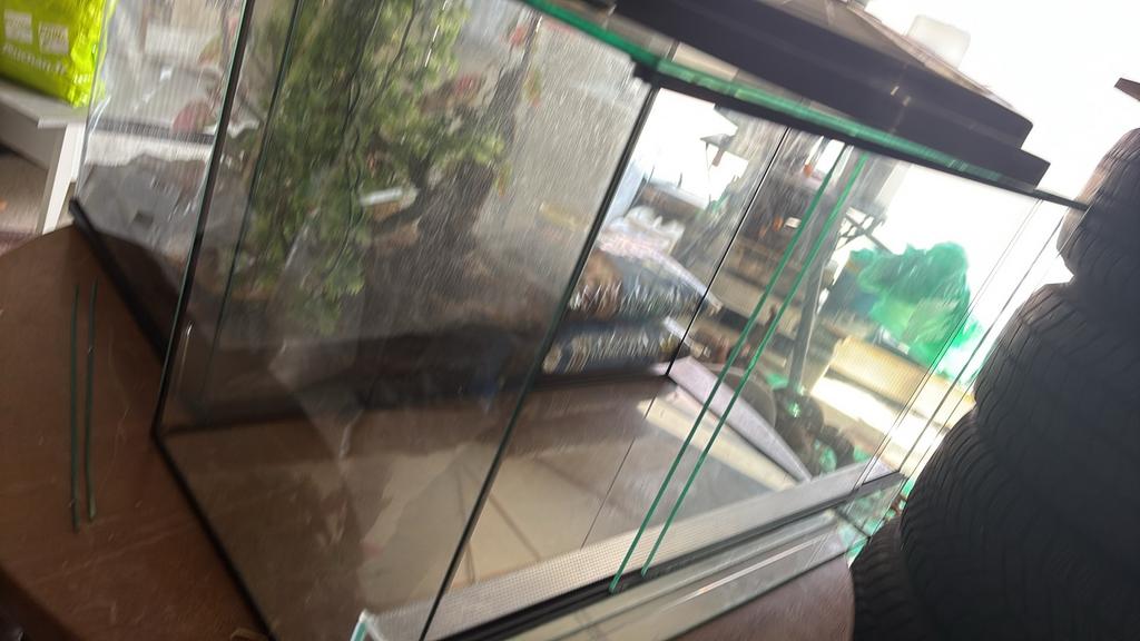 Terrarium, Ophalen, Zo goed als nieuw