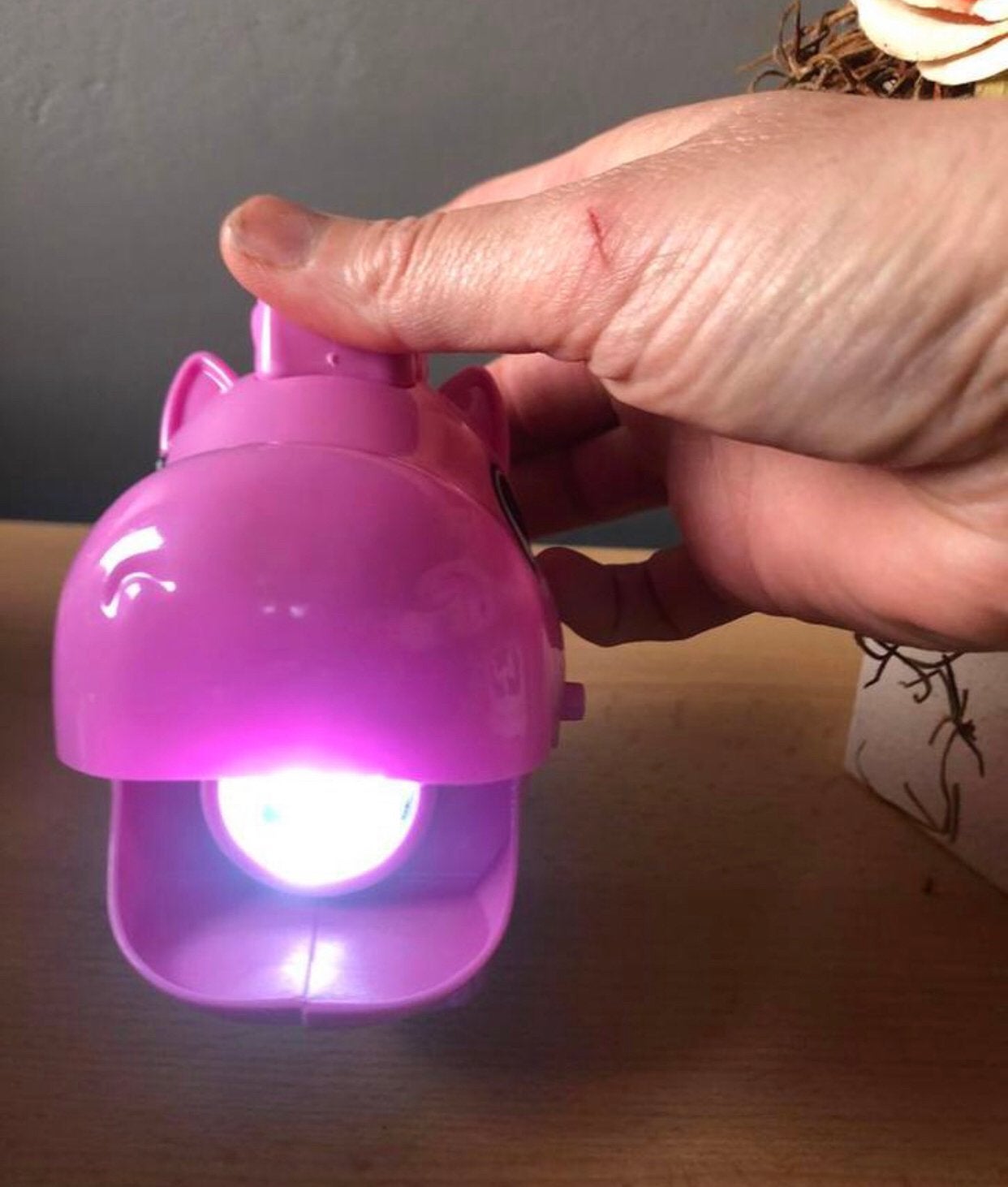 Zaklamp met (dieren)geluid, Ophalen, Zo goed als nieuw