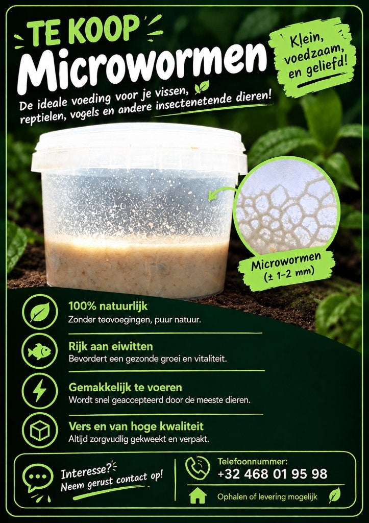 Microwormen, Dieren en Toebehoren, Ophalen of Verzenden