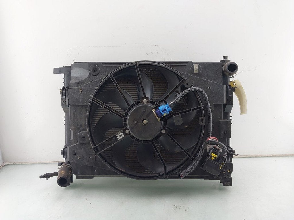 RADIATEUR COMPLET Dacia Sandero II (01-2012/12-2018), Dacia, Dhr. J. Ham, Administratie@autoham.nl, Utilisé