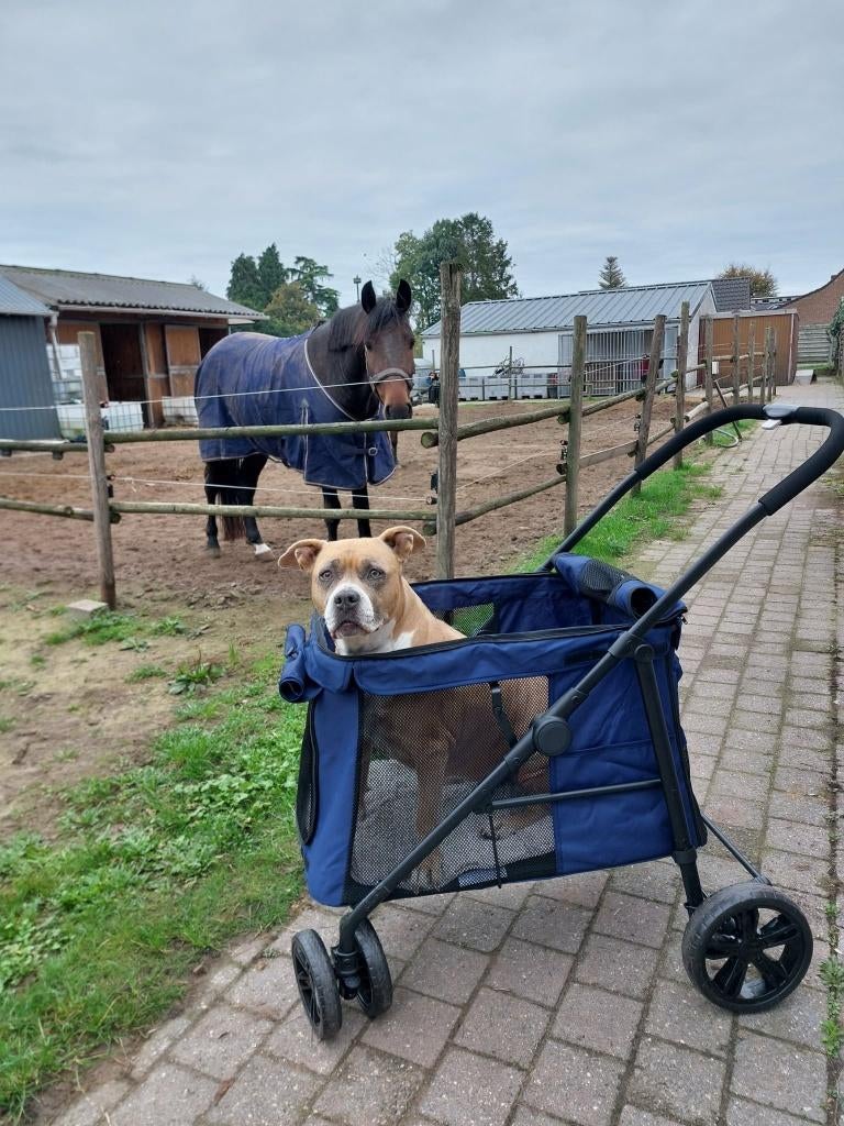hondenbuggy, Dieren en Toebehoren, Ophalen, Zo goed als nieuw