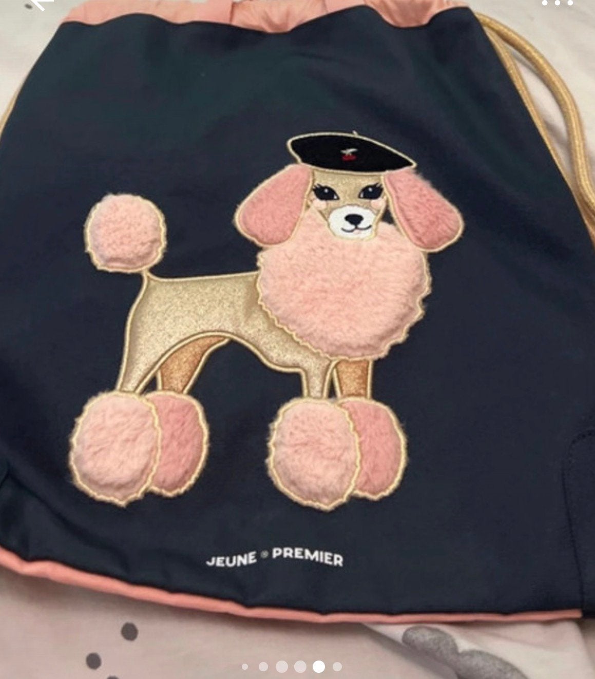 Sac de natation ou de randonnée, Enlèvement, Comme neuf