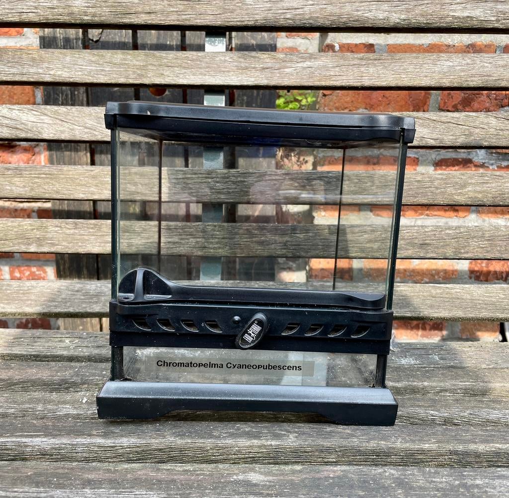Terrarium, Dieren en Toebehoren, Ophalen