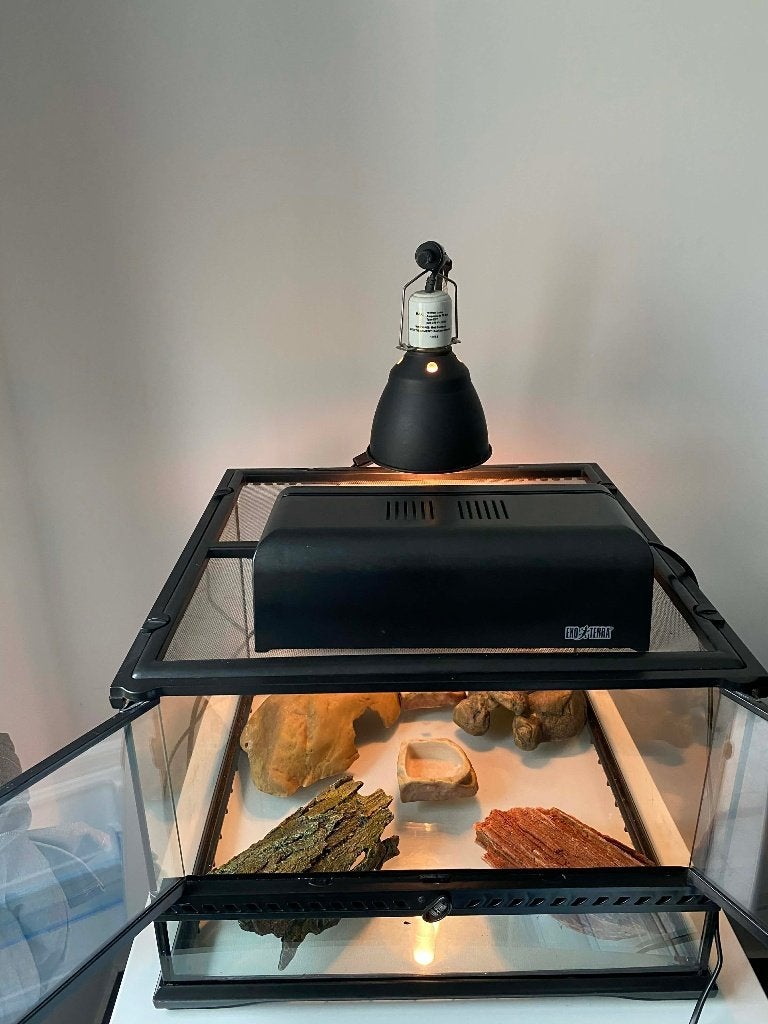 Terrarium EXO-TERRA + extra benodigdheden, Enlèvement, Utilisé, Terrarium ou Paludarium