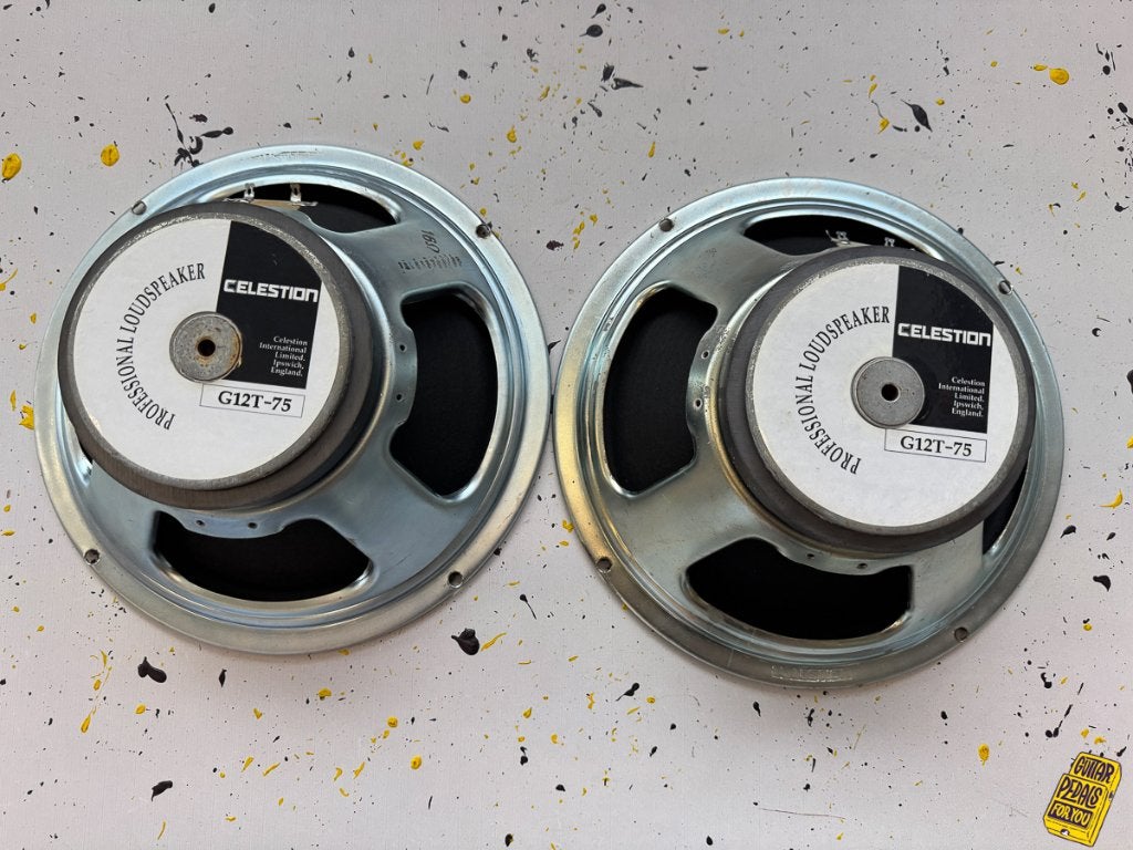 2 haut-parleurs Celestion G12T-75, Enlèvement ou Envoi, Utilisé, Autres types