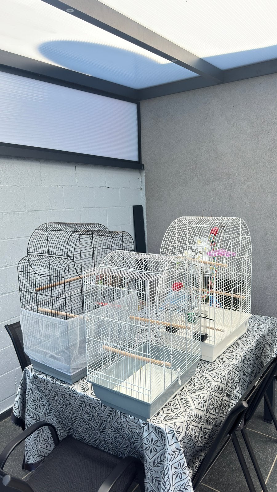 Cage pour oiseaux, Enlèvement, Utilisé, Métal, Cage à oiseaux