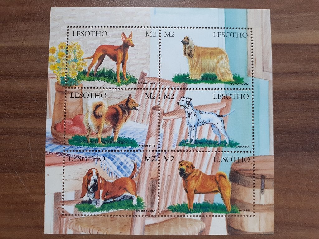 6 postzegels uit LESOTHO met windhonden honden, Ophalen of Verzenden, Postfris, Dier of Natuur