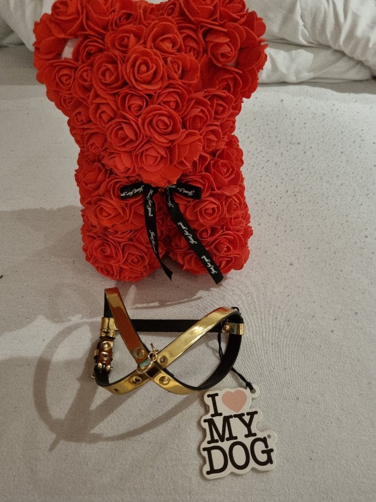 Harnais « I love my dog gold » complètement neuf, Animaux & Accessoires, Autres marques, Enlèvement ou Envoi, Neuf, Harnais pour chien