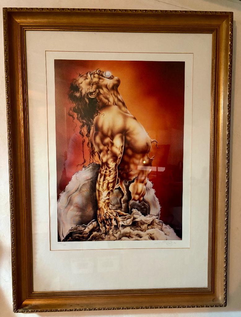 Zeefdruk Airbrush David de Graef, Envoi