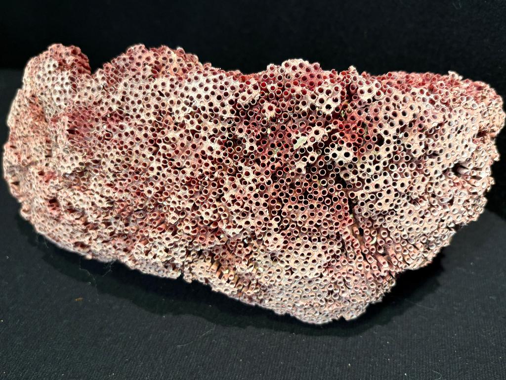 Natuurlijk Pijporgel Koraal, Ophalen of Verzenden, Mineraal